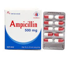 Pfizerpen (Generic Ampicillin)